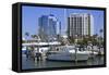 Bayfront Marina, Sarasota, Florida, United States of America, North America-Richard Cummins-Framed Stretched Canvas