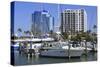 Bayfront Marina, Sarasota, Florida, United States of America, North America-Richard Cummins-Stretched Canvas