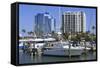 Bayfront Marina, Sarasota, Florida, United States of America, North America-Richard Cummins-Framed Stretched Canvas