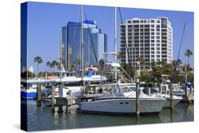 Bayfront Marina, Sarasota, Florida, United States of America, North America-Richard Cummins-Stretched Canvas