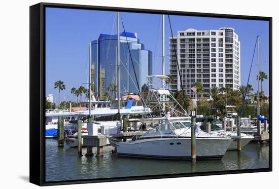 Bayfront Marina, Sarasota, Florida, United States of America, North America-Richard Cummins-Framed Stretched Canvas