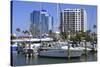 Bayfront Marina, Sarasota, Florida, United States of America, North America-Richard Cummins-Stretched Canvas