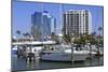 Bayfront Marina, Sarasota, Florida, United States of America, North America-Richard Cummins-Mounted Photographic Print