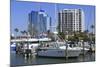 Bayfront Marina, Sarasota, Florida, United States of America, North America-Richard Cummins-Mounted Photographic Print