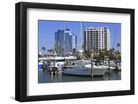 Bayfront Marina, Sarasota, Florida, United States of America, North America-Richard Cummins-Framed Photographic Print