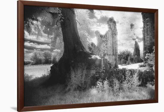 Bayham Old Abbey, Kent, England-Simon Marsden-Framed Giclee Print