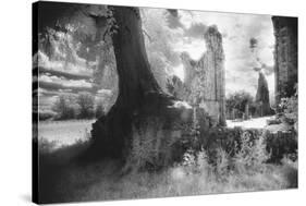 Bayham Old Abbey, Kent, England-Simon Marsden-Stretched Canvas