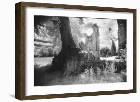 Bayham Old Abbey, Kent, England-Simon Marsden-Framed Giclee Print