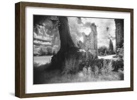 Bayham Old Abbey, Kent, England-Simon Marsden-Framed Giclee Print