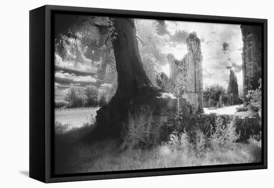 Bayham Old Abbey, Kent, England-Simon Marsden-Framed Stretched Canvas