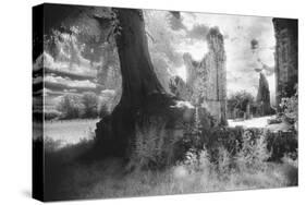 Bayham Old Abbey, Kent, England-Simon Marsden-Stretched Canvas