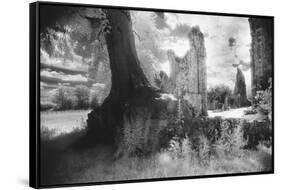 Bayham Old Abbey, Kent, England-Simon Marsden-Framed Stretched Canvas