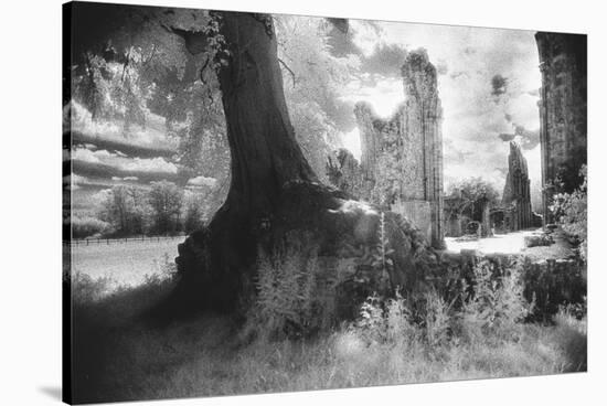 Bayham Old Abbey, Kent, England-Simon Marsden-Stretched Canvas