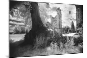 Bayham Old Abbey, Kent, England-Simon Marsden-Mounted Giclee Print