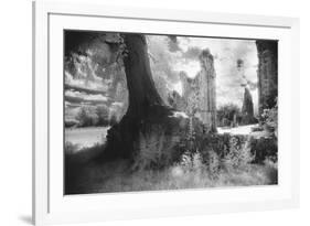 Bayham Old Abbey, Kent, England-Simon Marsden-Framed Giclee Print