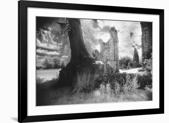 Bayham Old Abbey, Kent, England-Simon Marsden-Framed Giclee Print