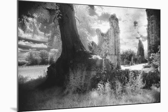 Bayham Old Abbey, Kent, England-Simon Marsden-Mounted Giclee Print