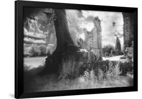 Bayham Old Abbey, Kent, England-Simon Marsden-Framed Giclee Print