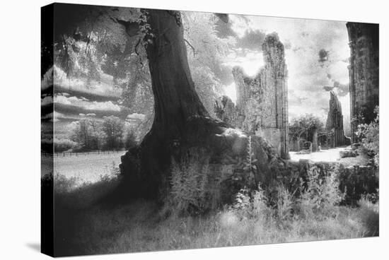 Bayham Old Abbey, Kent, England-Simon Marsden-Stretched Canvas