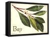 Bayleaf antique-The Saturday Evening Post-Framed Stretched Canvas