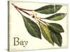 Bayleaf antique-The Saturday Evening Post-Stretched Canvas