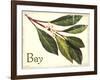 Bayleaf antique-The Saturday Evening Post-Framed Giclee Print