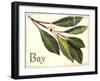 Bayleaf antique-The Saturday Evening Post-Framed Giclee Print