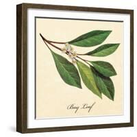 Bayleaf-The Saturday Evening Post-Framed Giclee Print