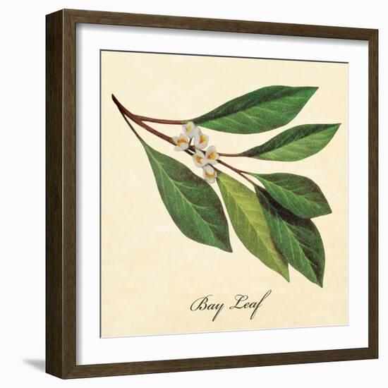 Bayleaf-The Saturday Evening Post-Framed Giclee Print