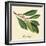 Bayleaf-The Saturday Evening Post-Framed Giclee Print