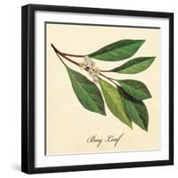 Bayleaf-The Saturday Evening Post-Framed Giclee Print