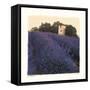 Bayliss Ranch-Amy Melious-Framed Stretched Canvas
