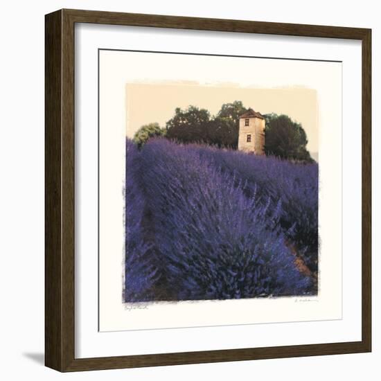 Bayliss Ranch-Amy Melious-Framed Art Print