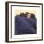 Bayliss Ranch-Amy Melious-Framed Art Print