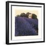 Bayliss Ranch-Amy Melious-Framed Art Print