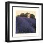 Bayliss Ranch-Amy Melious-Framed Art Print