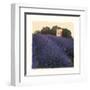 Bayliss Ranch-Amy Melious-Framed Art Print