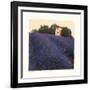 Bayliss Ranch-Amy Melious-Framed Art Print