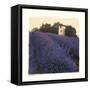Bayliss Ranch-Amy Melious-Framed Stretched Canvas