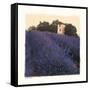 Bayliss Ranch-Amy Melious-Framed Stretched Canvas