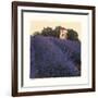 Bayliss Ranch-Amy Melious-Framed Art Print