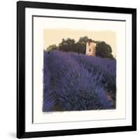 Bayliss Ranch-Amy Melious-Framed Art Print