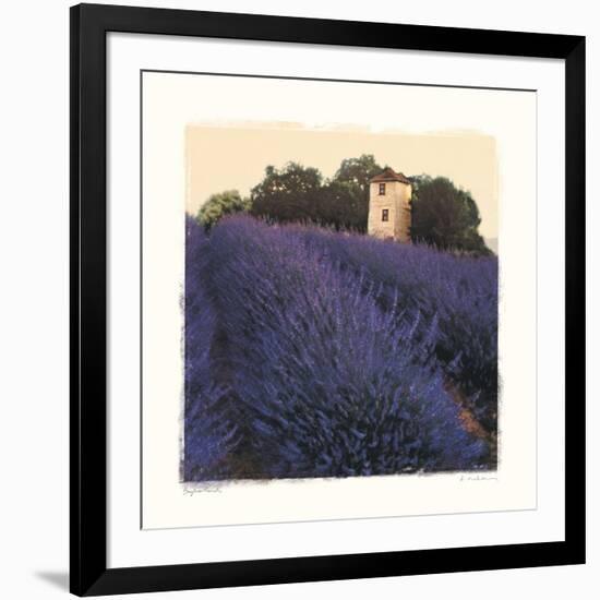 Bayliss Ranch-Amy Melious-Framed Art Print