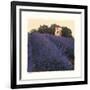 Bayliss Ranch-Amy Melious-Framed Art Print