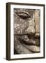 Bayon Temple, Angkor Wat, Siem Reap, Cambodia-Paul Souders-Framed Premium Photographic Print