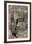 Bayon Temple, Angkor Wat, Siem Reap, Cambodia-Paul Souders-Framed Photographic Print