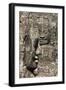 Bayon Temple, Angkor Wat, Siem Reap, Cambodia-Paul Souders-Framed Photographic Print