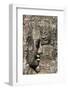 Bayon Temple, Angkor Wat, Siem Reap, Cambodia-Paul Souders-Framed Photographic Print