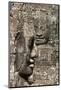 Bayon Temple, Angkor Wat, Siem Reap, Cambodia-Paul Souders-Mounted Photographic Print