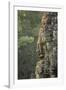 Bayon Temple, Angkor Wat, Siem Reap, Cambodia-Paul Souders-Framed Photographic Print